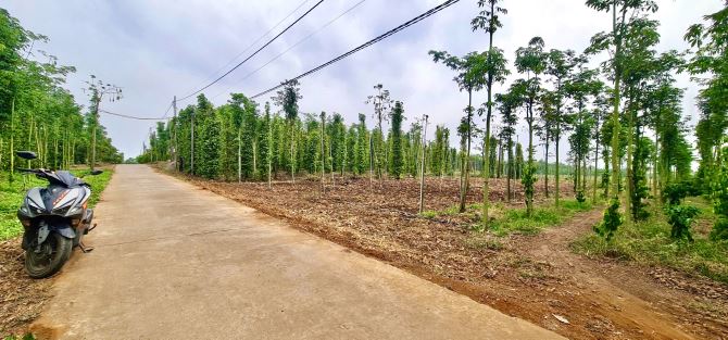 Bán Đất 2327m2, đường ô tô 1 sẹc đường Tỉnh Lộ 764, Xuân Tây, Cẩm Mỹ, Đồng Nai - 3