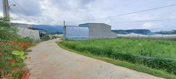 Bán 530m2 đất thổ cư ngay TTHC TT.D