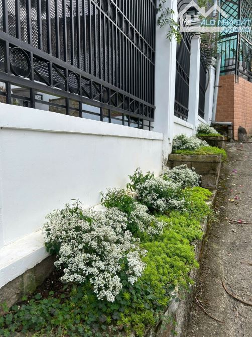 HẠ 4 TỶ BÁN VILLA SÂN VƯỜN ĐỒI TRIỆU VIỆT VƯƠNG ĐÀ LẠT - 4