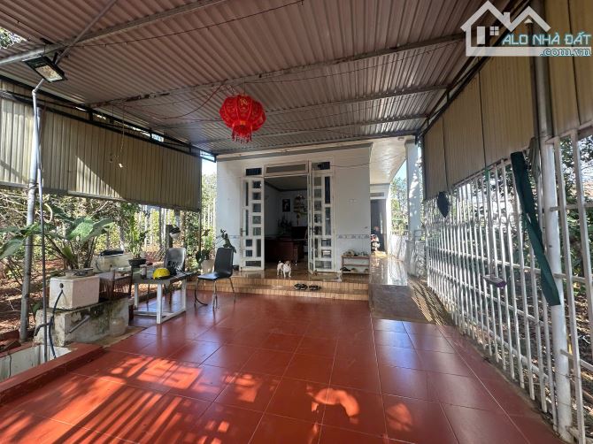BÁN NHÀ 1 MÊ NGAY TRỤC CHÍNH D2 BUÔN JU GẦN CHỢ ĐẠT LÝ - Loctran