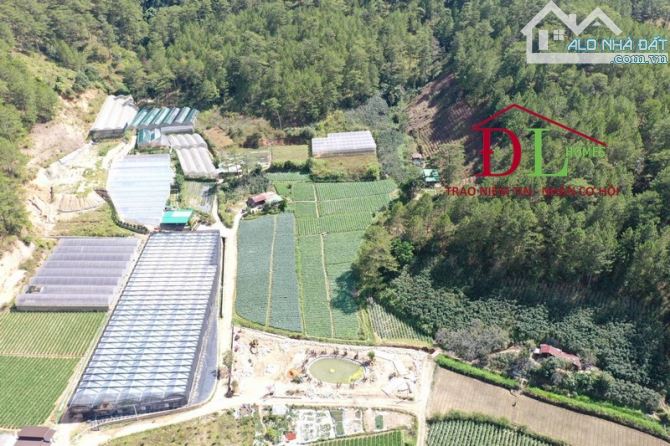 Bán gấp 11000m2 đất Mimosa ,có 300m2 XD  chỉ  2,4 tr/m2 view rừng thông có suối bao quanh