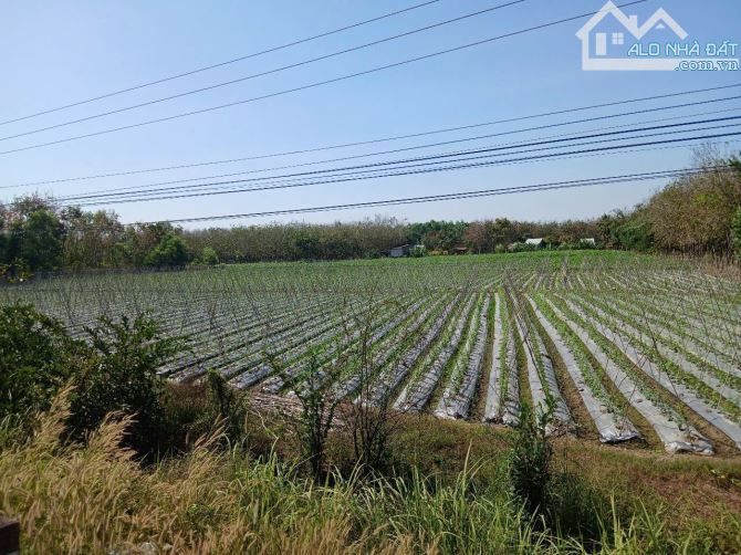 Cần bán 6600m2 đất Long Thành Nam, Hoà Thành, Tây Ninh