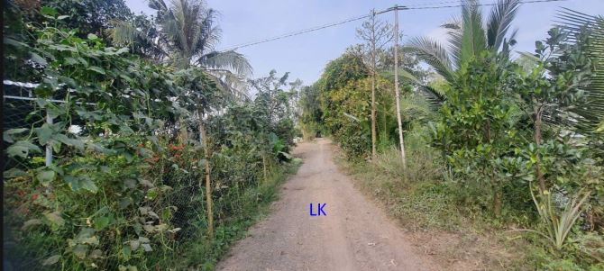 🔰 Bán vườn chanh: 7.900m² (30m x 264m, đất lúa) 🔰 Đường đá xe ba gác, xã Mỹ Long