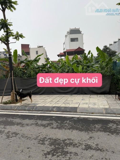 CẦN BÁN ĐẤT CỰ KHỐI LONG BIÊN HÀ NỘI.