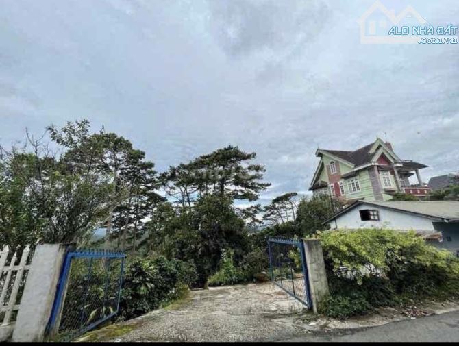 748m2 Hoàng Hoa Thám p10 đường nhựa  , view rừng thông