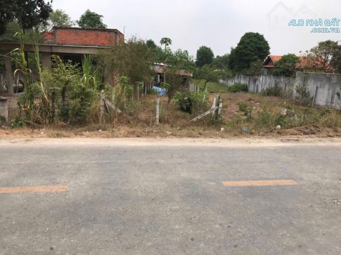 Bán đất thổ cư mặt tiền đường Cây Gõ kinh doanh xã An Phú Củ Chi TPHCM, DT: 5x29m.