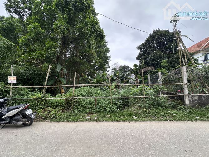 Đất Mặt Tiền Triệu Túc - Hương Long - 1,480 - 1