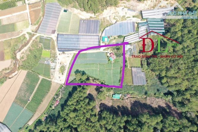 Bán gấp 11000m2 đất Mimosa ,có 300m2 XD  chỉ  2,4 tr/m2 view rừng thông có suối bao quanh - 1