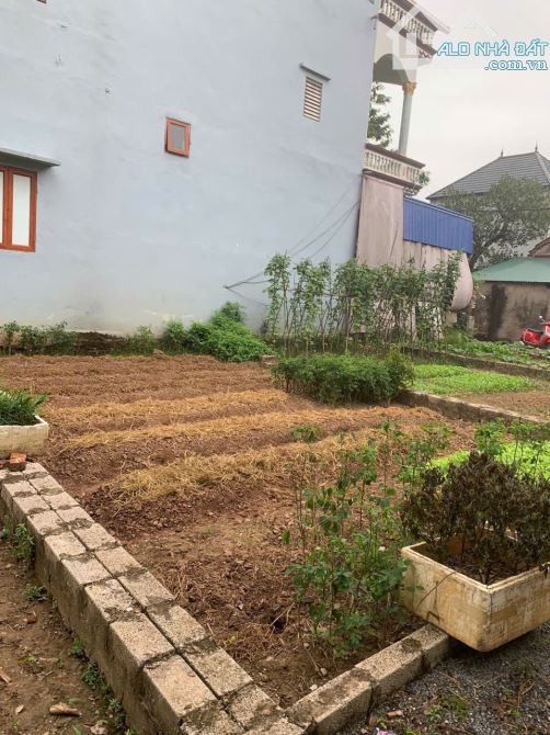 Bán đất xã Viên An, Ứng Hoà, Hà Nội - 1