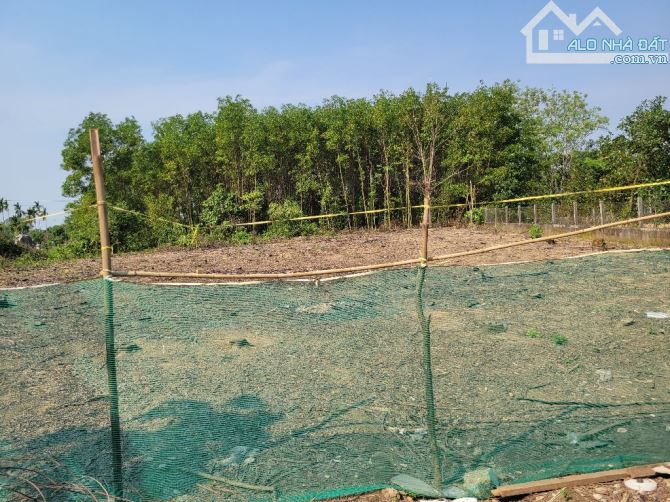 Cần bán nhanh lô đất hơn 1340m2, tổ1, Tứ Hạ, Hương Trà. - 1