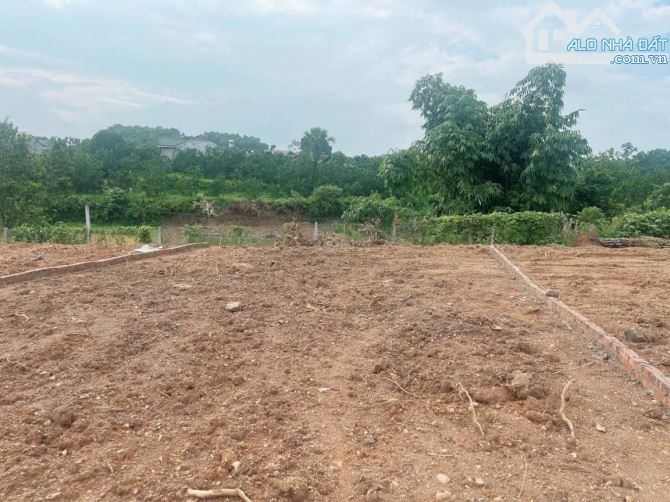 ĐẤT VƯỜN NGHỈ DƯỠNG – 2000M² – CHỈ 4.6 TỶ – SÁT SUỐI, THOÁNG MÁT - 1
