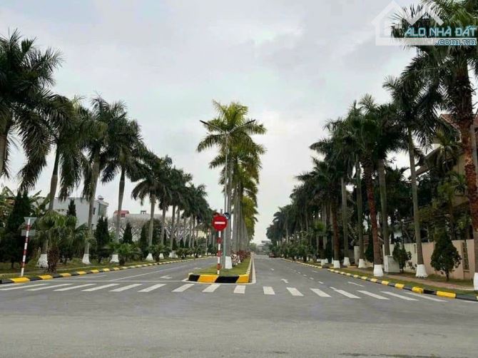 Bán Đất Đại An, Tứ Minh, Hải Dương siêu đẹp giá đầu tư - 1