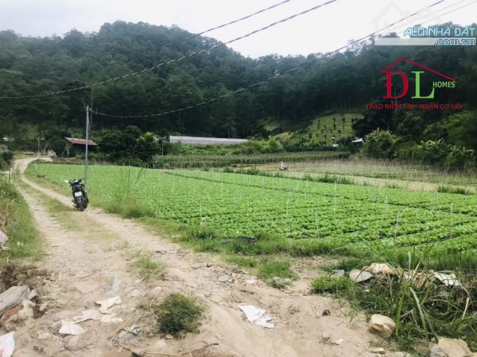 Bán gấp 11000m2 đất Mimosa ,có 300m2 XD  chỉ  2,4 tr/m2 view rừng thông có suối bao quanh - 2