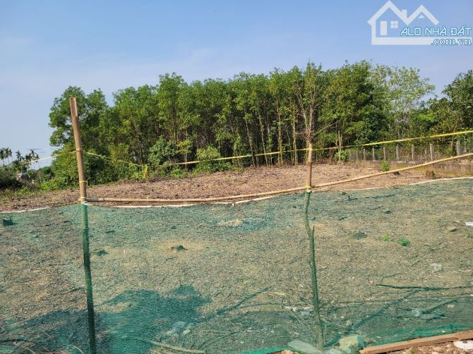Cần bán nhanh lô đất hơn 1340m2, tổ1, Tứ Hạ, Hương Trà. - 2