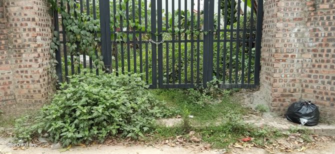 Lô góc hiếm 80m² tại Nam Hồng  Đông Anh, vị trí vàng, tiềm năng tăng giá cao - 2