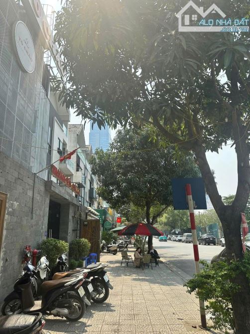 Siêu phẩm Mặt phố sát Liễu Giai 188M 10 tầng doanh thu 10 nghìn đô - 3