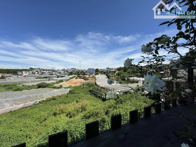 🌟 CƠ HỘI ĐẦU TƯ HOÀN HẢO - BÁN LÔ ĐẤT XÂY KHÁCH SẠN, HOMESTAY VIEW ĐẸP TẠI ĐÀ LẠT 🌟 - 3