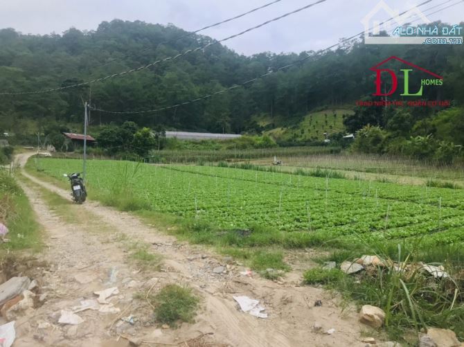 Bán gấp 11000m2 đất Mimosa ,có 300m2 XD  chỉ  2,4 tr/m2 view rừng thông có suối bao quanh - 4
