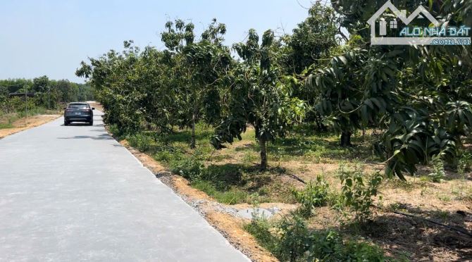 NHÀ VƯỜN NGỘP CÁCH TP BIÊN HÒA 70 KM - 4