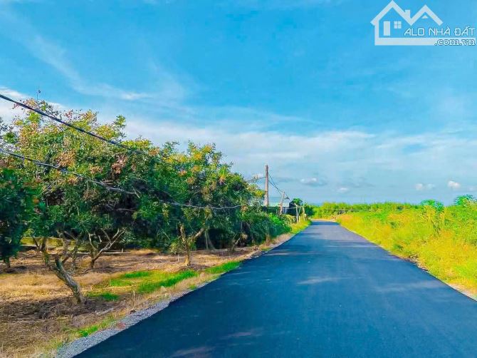 VƯỜN NHÃN MẶT HƯỚNG LỘ LƯNG TỰA SUỐI TUYỆT ĐẸP,QUY HOẠCH ĐẤT Ở 100%,CÁCH BIỂN CHỈ 10 PHÚT - 4
