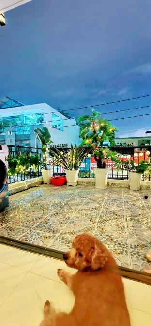 Bán nhà mặt tiền đường Số 27, phường 6, Gò Vấp - 5