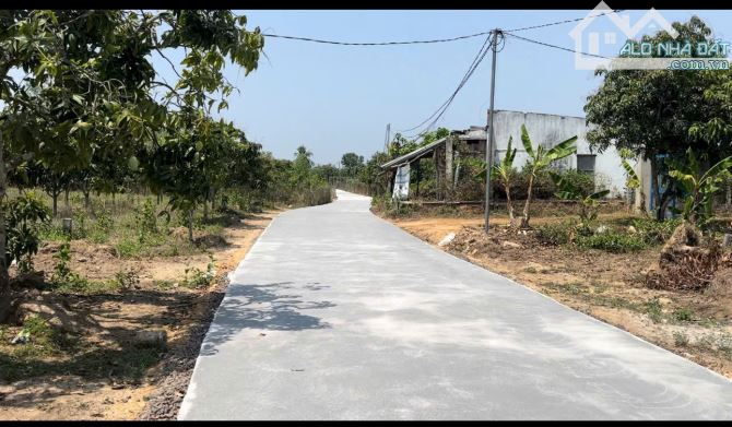 NHÀ VƯỜN NGỘP CÁCH TP BIÊN HÒA 70 KM - 5