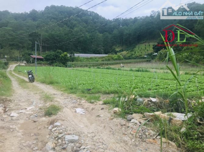 Bán gấp 11000m2 đất Mimosa ,có 300m2 XD  chỉ  2,4 tr/m2 view rừng thông có suối bao quanh - 6