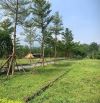Đất sẵn sổ nằm trong khu biệt thự, sẵn hạ tầng, vị trí đẹp nhất phú mãn chủ cần bán nhanh