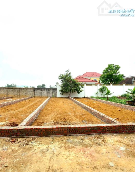 Bán mảnh đất ở Phú Mãn cách Quốc lộ 21 chỉ 60m,cách đại lộ 1km , vị trí rất đẹp ạ ! - 6