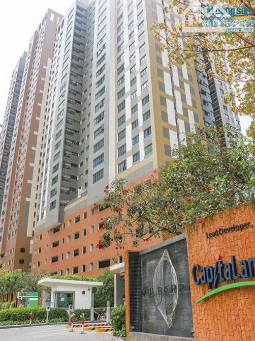 Bán gấp căn 122m2- 3PN- Toà C Mulberry Land- KĐT Mỗ Lao- full đồ- có sổ- nhỉnh 7 tỷ