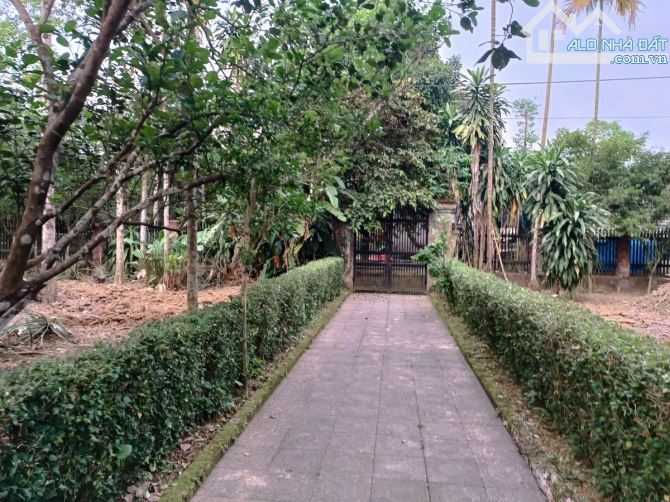 🍁 BÁN ĐẤT BIỆT THỰ 1250m2 GÓC 2 MẶT TIỀN – LƯƠNG QUÁN – THÂN VĂN NHIẾP – THỦY BIỀU, TP HU