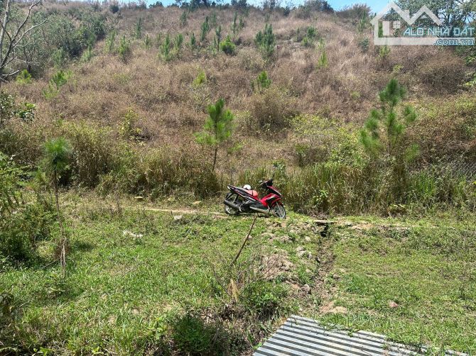 View suối cực đẹp, 380tr/1000m2 Đất có trích lục Tà Nung-Đà Lạt