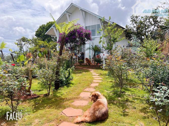 HOMESTAY 1841M2 VIEW THÔNG CỰC ĐẸP NGAY QUÁN CÀ PHÊ CHUYỆN CỦA NẮNG NỔI TIẾNG