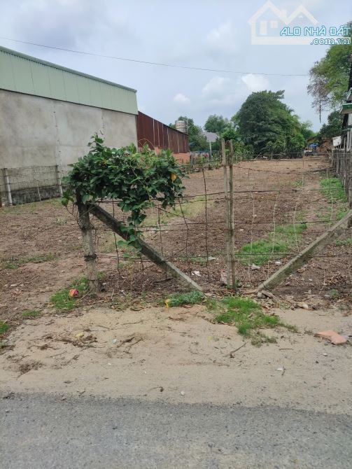 Bán lô đất 10*21,4 ( 214m2) SHR, Tân Thạnh Đông, Củ Chi. Giá 800 triệu