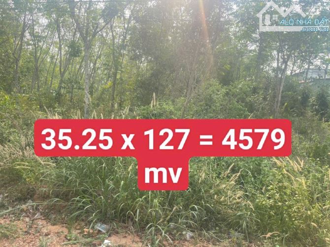 BÁN ĐẤT MT DT744, ĐỊNH AN, DẦU TIẾNG, DT: 35.25x127, TC300M2, SHR, GIÁ 7,5 TỶ