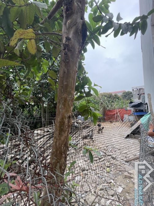BÁN ĐẤT -GIÁ TỐT 64m , 4,6 tỷ -Ô TÔ 7 CHỖ ĐỖ CỬA - THÔN NHÌ, VÂN NỘI, ĐÔNG ANH - HÀ NỘI