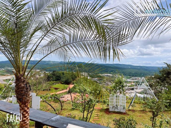HOMESTAY 1841M2 VIEW THÔNG CỰC ĐẸP NGAY QUÁN CÀ PHÊ CHUYỆN CỦA NẮNG NỔI TIẾNG - 10