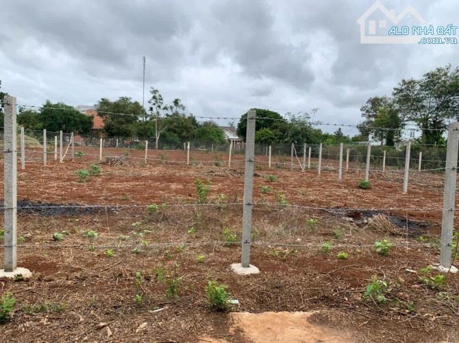 Cần bán lô đất rộng 300m2 đường Nguyễn Xuân Nguyên, TP. Buôn Ma Thuột (sau trường tiểu học - 1