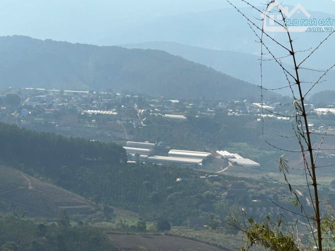 150tr/1000m2 đất giấy viết tay có 3000m2 Tà Nung-Đà Lạt đang canh tác cây cà phê - 1