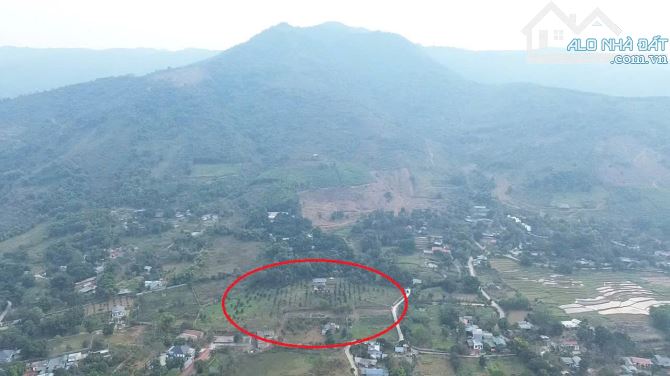 CƠ HỘI ĐẦU TƯ NGHỈ DƯỠNG CỰC TỐT-14940m2 TẠI CAO SƠN- LƯƠNG SƠN- CHỈ 1.85TR/M2 - 1