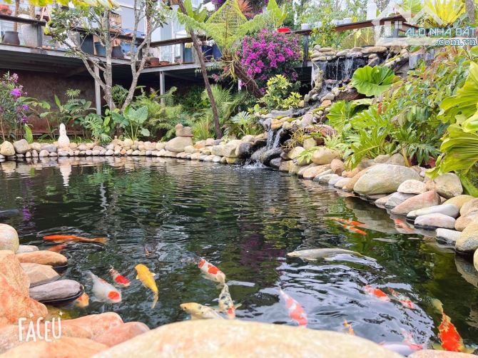 HOMESTAY 1841M2 VIEW THÔNG CỰC ĐẸP NGAY QUÁN CÀ PHÊ CHUYỆN CỦA NẮNG NỔI TIẾNG - 1