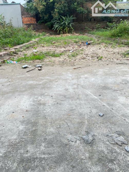 BÁN ĐẤT ĐẠI MẠCH, ĐÔNG ANH. MẶT TIỀN KHỦNG. GIÁ ĐẦU TƯ. - 1