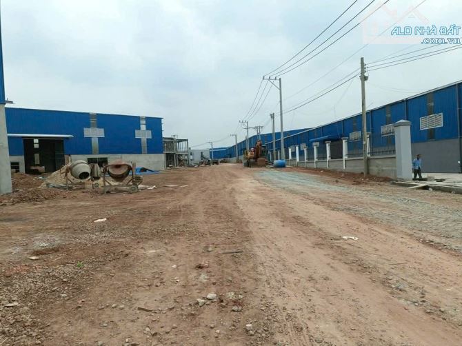 Bán đất Tân Định 61 - Bắc Tân Uyên. DT 15.000m2 - 1