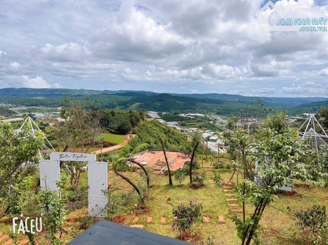 HOMESTAY 1841M2 VIEW THÔNG CỰC ĐẸP NGAY QUÁN CÀ PHÊ CHUYỆN CỦA NẮNG NỔI TIẾNG - 14