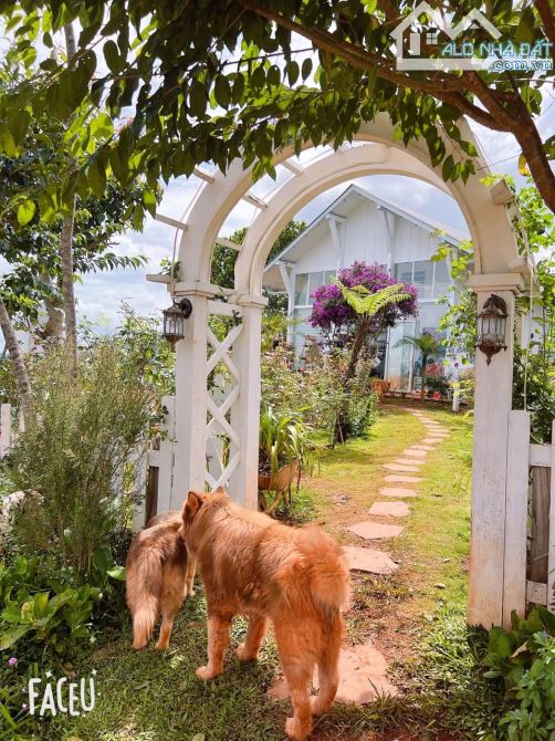 HOMESTAY 1841M2 VIEW THÔNG CỰC ĐẸP NGAY QUÁN CÀ PHÊ CHUYỆN CỦA NẮNG NỔI TIẾNG - 15