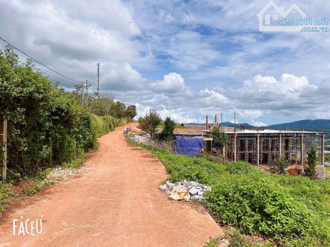 HOMESTAY 1841M2 VIEW THÔNG CỰC ĐẸP NGAY QUÁN CÀ PHÊ CHUYỆN CỦA NẮNG NỔI TIẾNG - 16