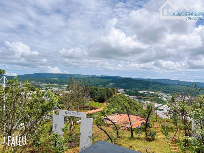 HOMESTAY 1841M2 VIEW THÔNG CỰC ĐẸP NGAY QUÁN CÀ PHÊ CHUYỆN CỦA NẮNG NỔI TIẾNG - 18