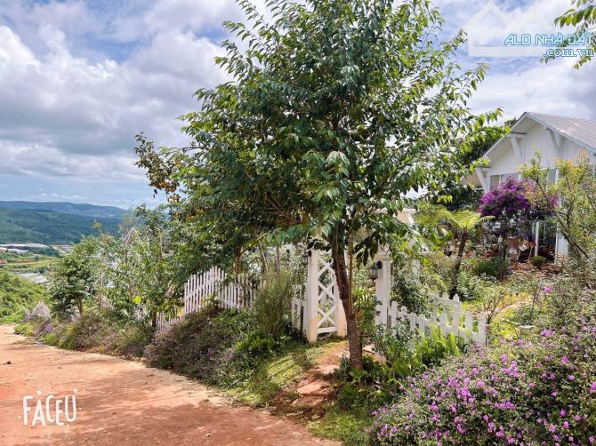 HOMESTAY 1841M2 VIEW THÔNG CỰC ĐẸP NGAY QUÁN CÀ PHÊ CHUYỆN CỦA NẮNG NỔI TIẾNG - 19