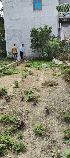 🔥Bán đất Dương Quang Mỹ Hào Hưng Yên 60m²  kinh doanh ô tô thông giá 1 tỷ 470. - 2