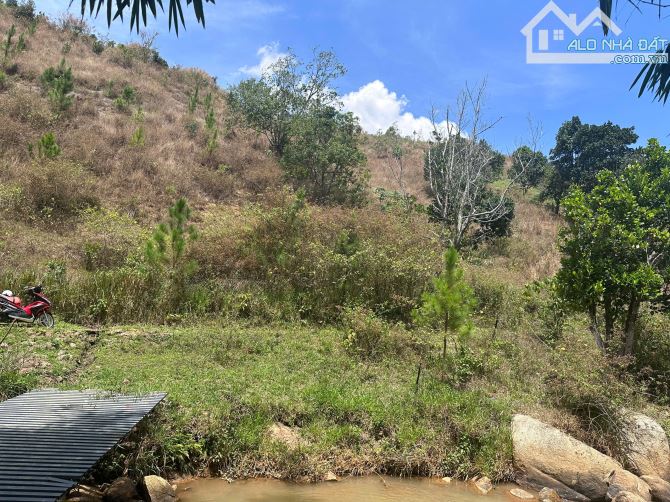 View suối cực đẹp, 380tr/1000m2 Đất có trích lục Tà Nung-Đà Lạt - 2